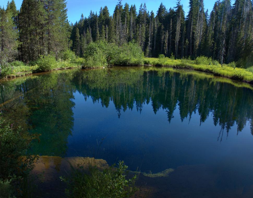 Free Image of Crystal clear forest reflection in a calm pond 