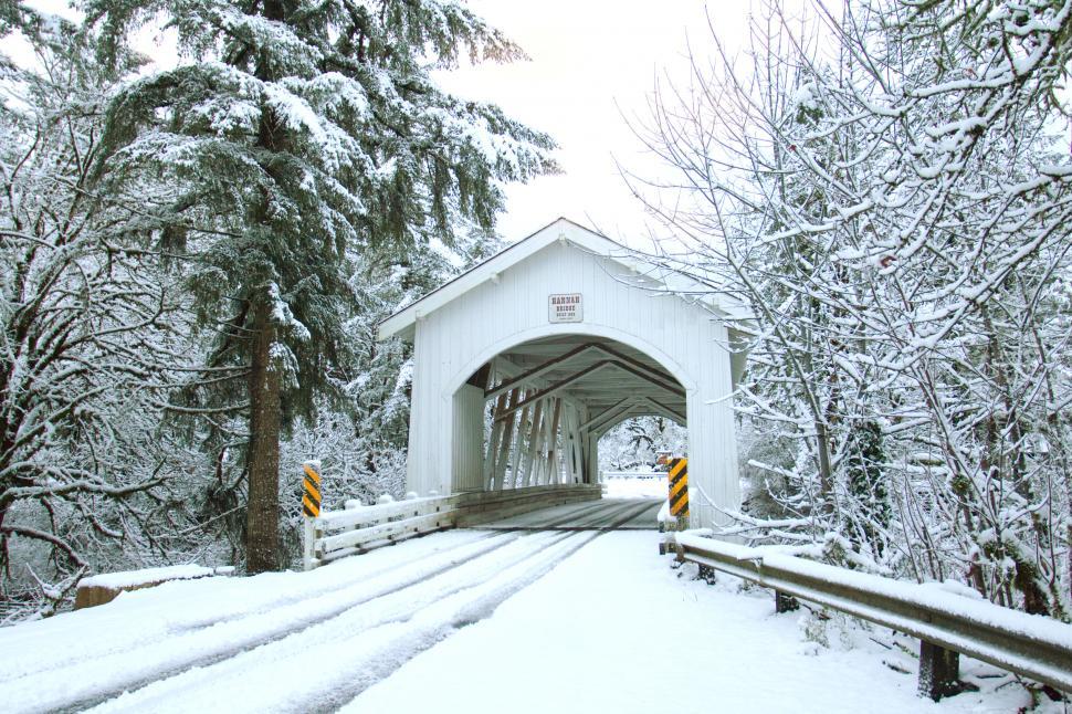 Free Image of Snowy covered bridge in forested area 
