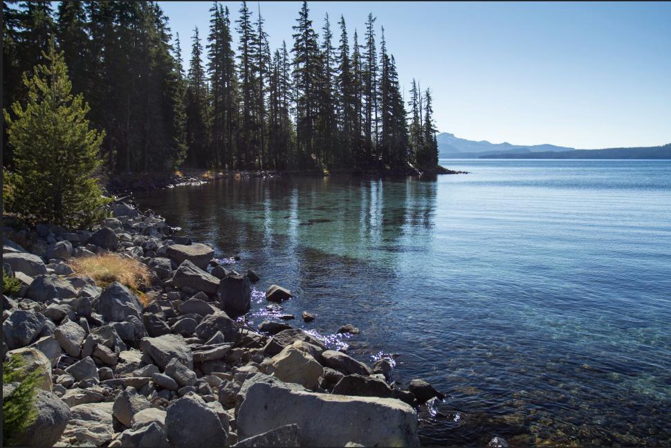 Free Image of Calm lake by rocky tree-lined shore 