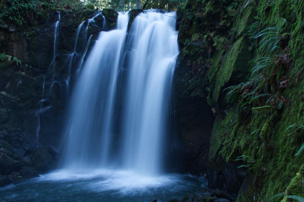 Free Image of Cascading waterfall in a lush green forest setting 