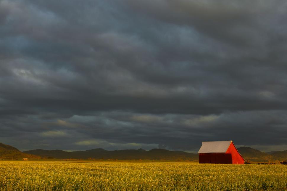 Free Image of Red barn in golden field under stormy sky 
