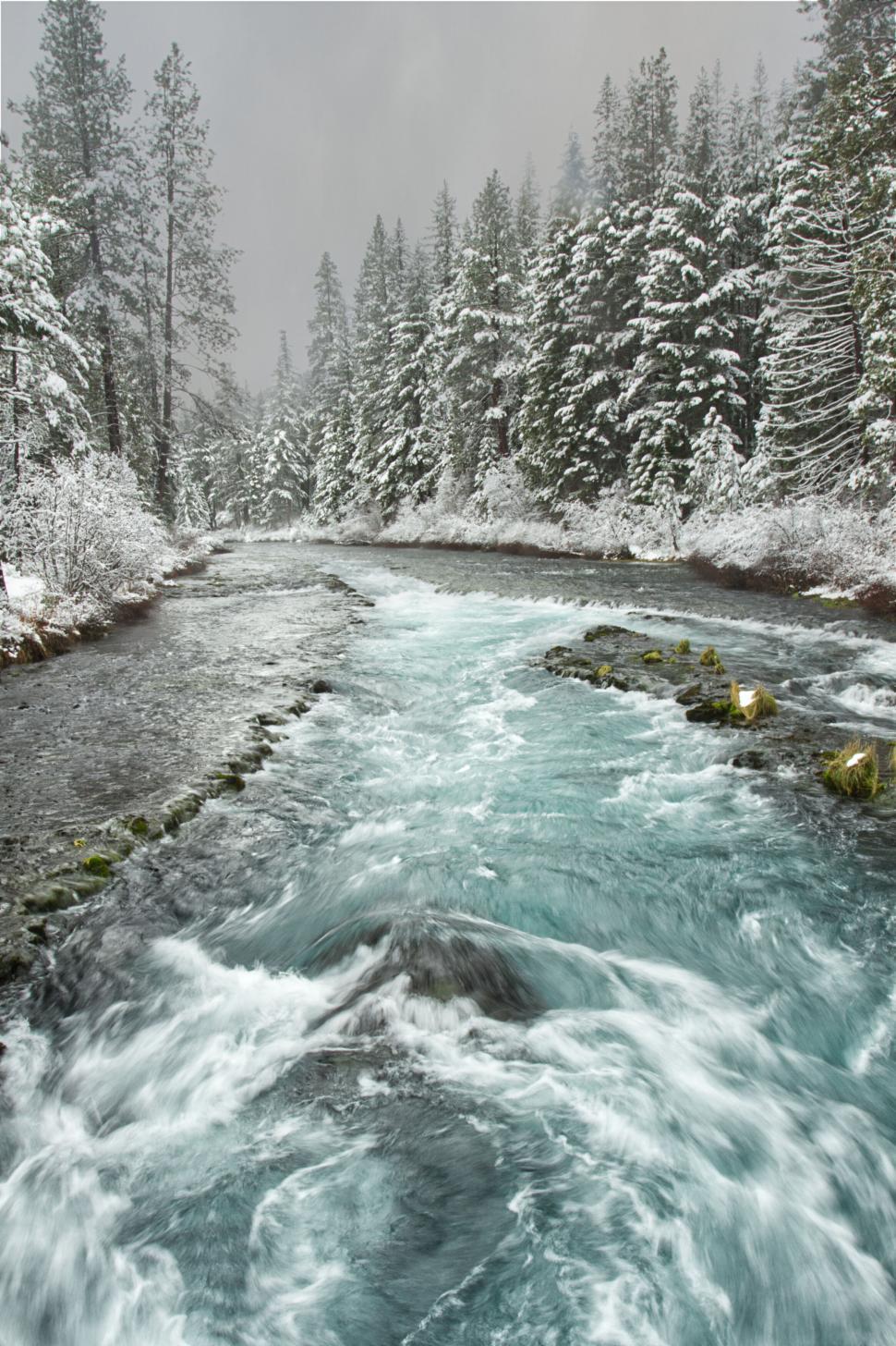Free Image of River flowing vigorously through snowy forest 