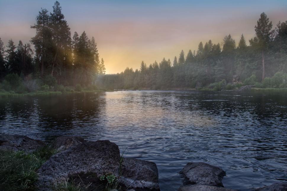 Free Image of Serene river at dawn with forest backdrop 