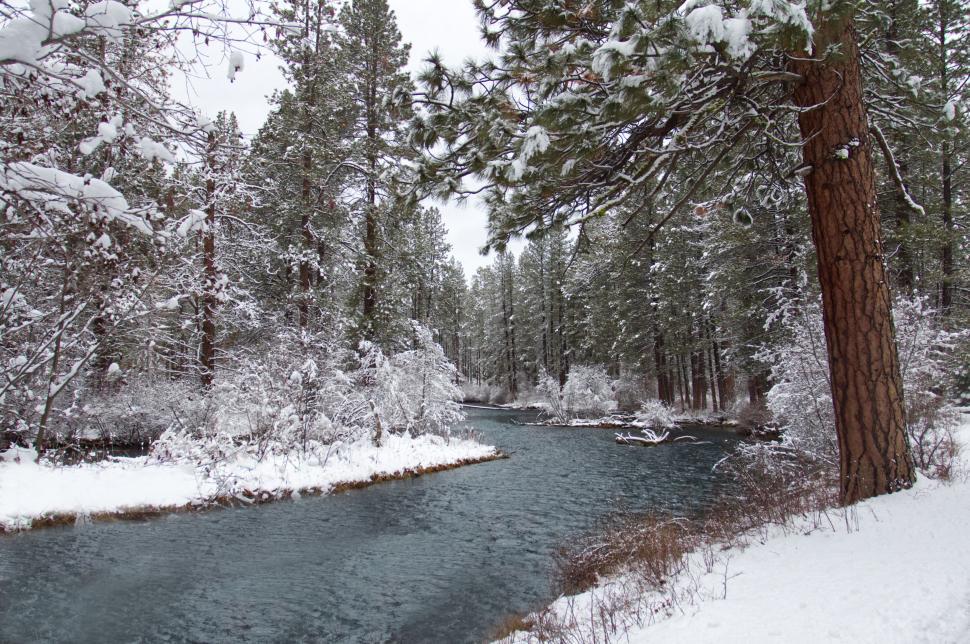 Free Image of Winter river scene with snowy trees 