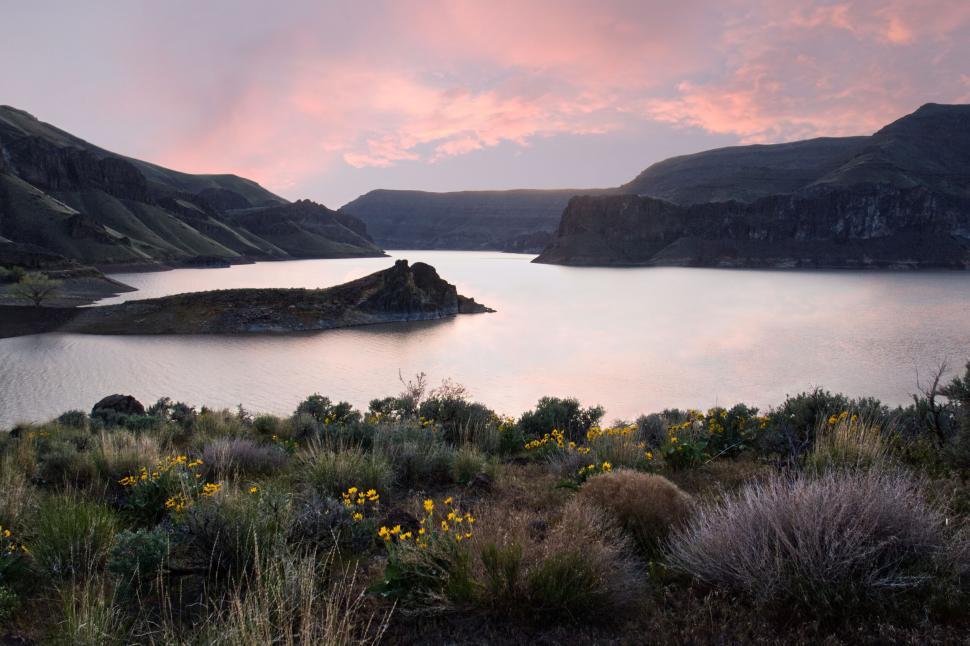 Free Image of Desert Lake View at Sunset with Flora 