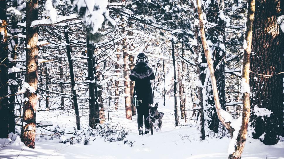 Free Image of Woman and dog walking in snowy forest 