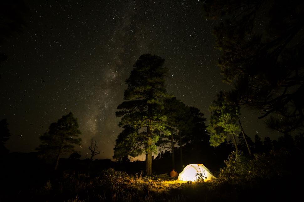 Free Image of Campsite under starry sky with tall trees 