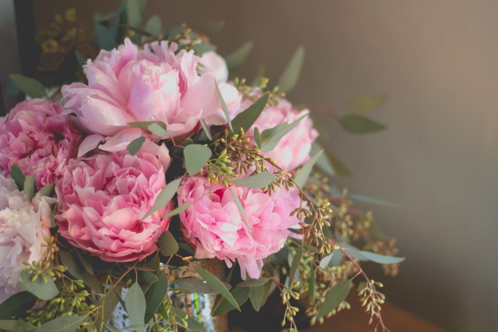 Free Image of Beautiful pink peonies in a vase adorn 