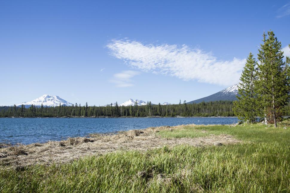 Free Image of Serene lake with snow-capped mountains and pines 