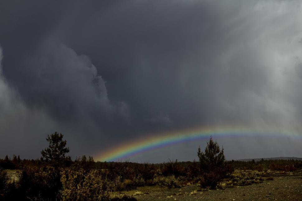 Free Image of Dramatic rainbow emergence after storm 
