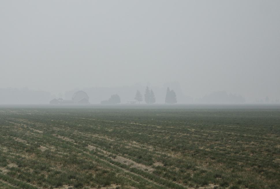 Free Image of Foggy agricultural field with distant tree line 