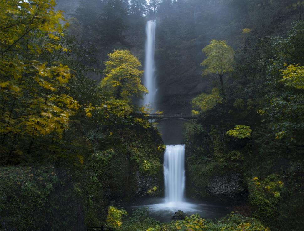 Free Image of Mystical waterfall amidst autumn foliage 