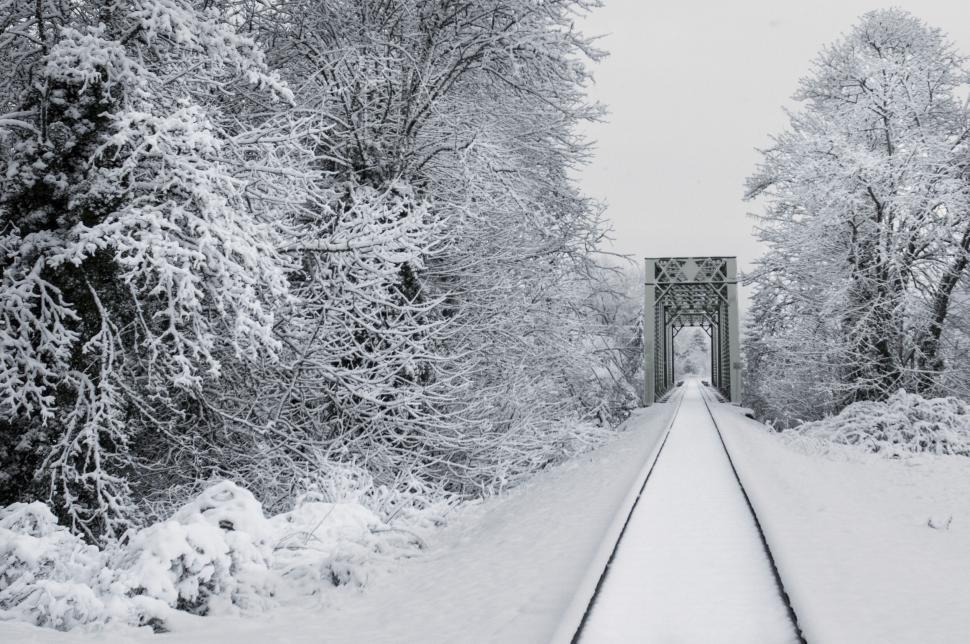 Free Image of Snowy Railroad Bridge Amidst Trees 