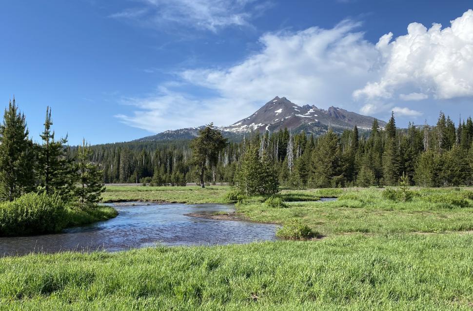 Free Image of Sunny meadow with mountain backdrop 