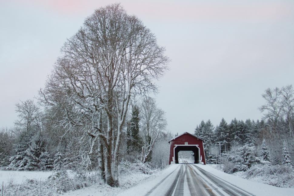 Free Image of Snow-covered bridge in a winter landscape 