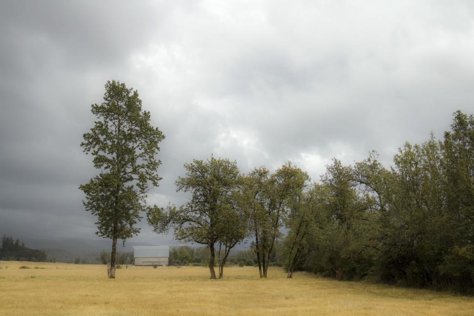 Free Image of Serene landscape with trees and cloudy sky 