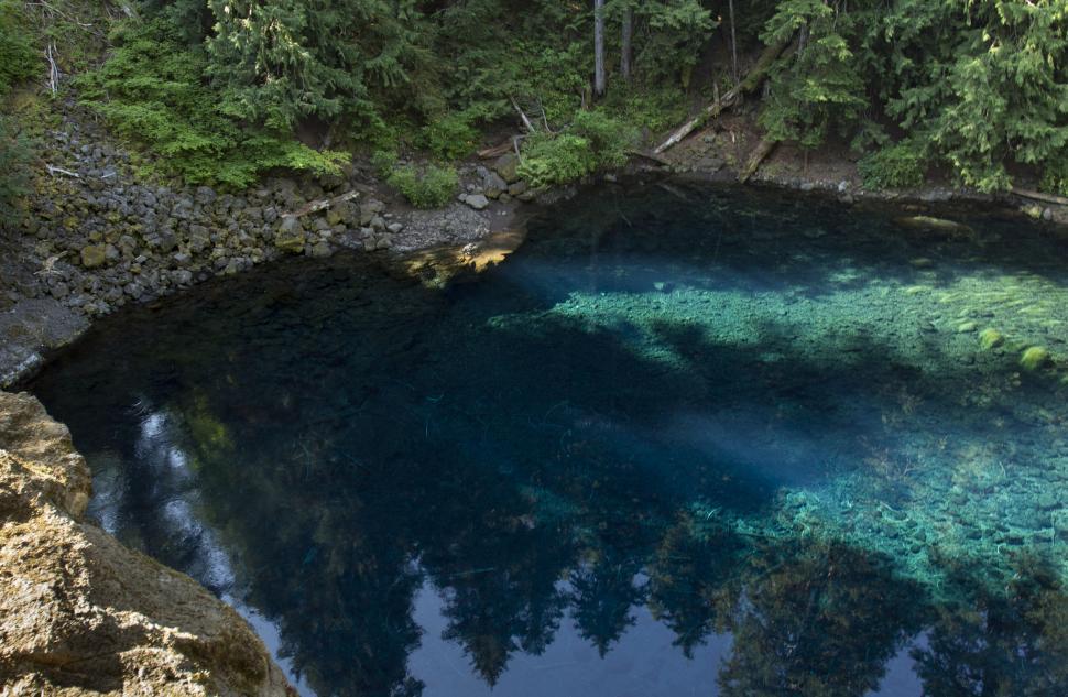 Free Image of Mystical clear blue spring in a forest 