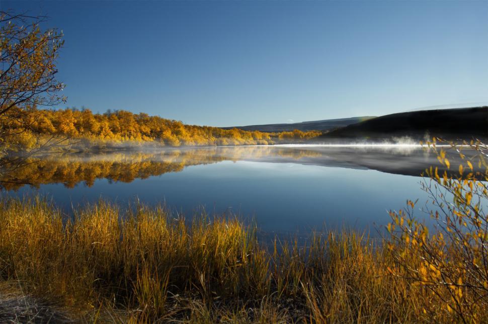Free Image of Golden autumn trees reflected in calm lake 