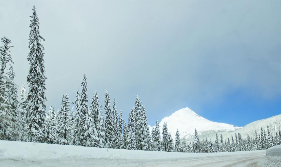 Free Image of Wintry road with snow-covered trees and peak 
