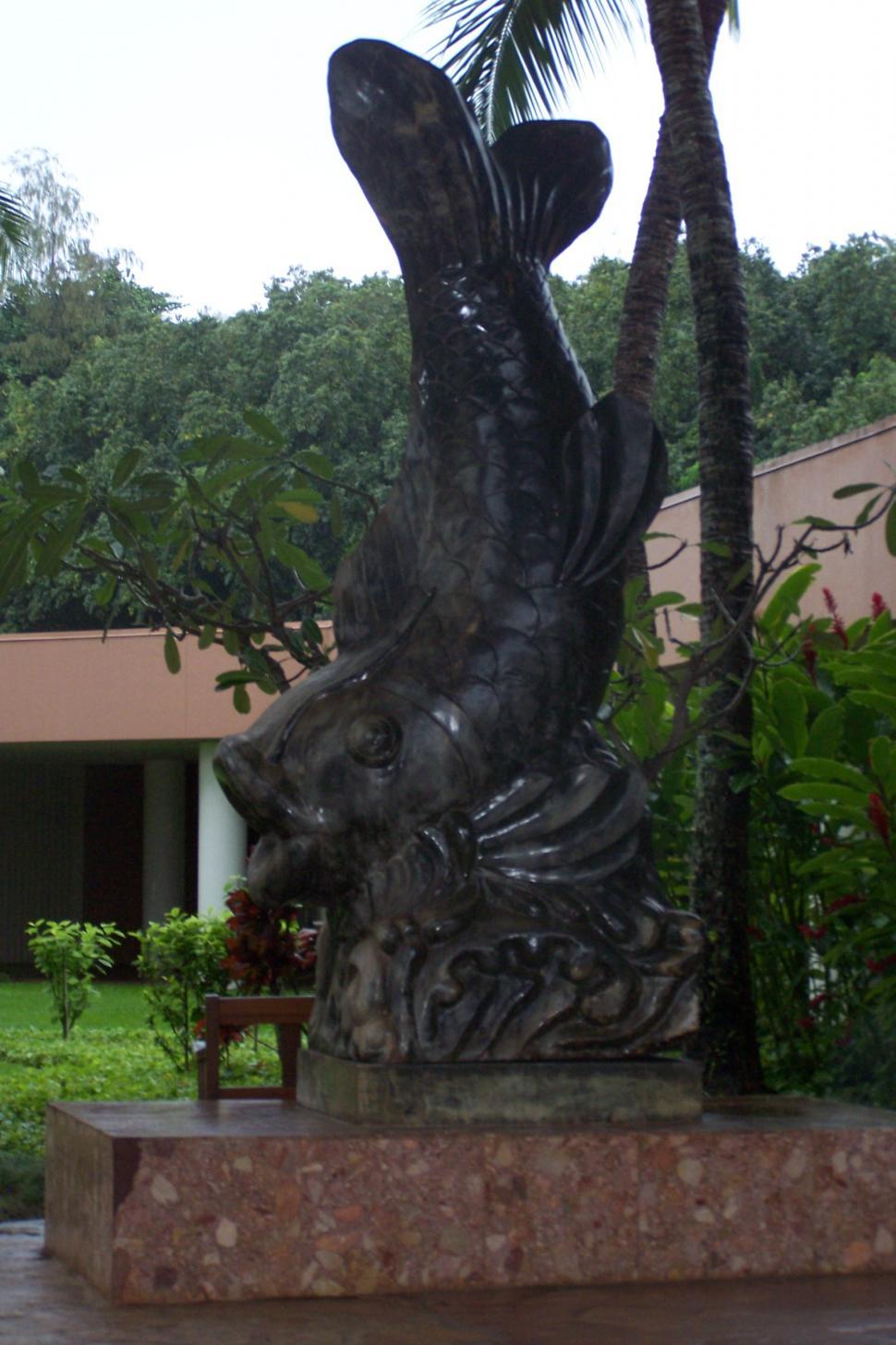 Free Image of Fish Statue 