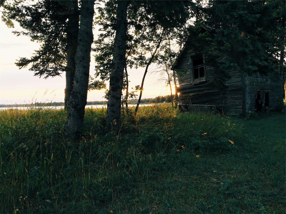 Free Image of Old wooden cabin in the sunset forest 
