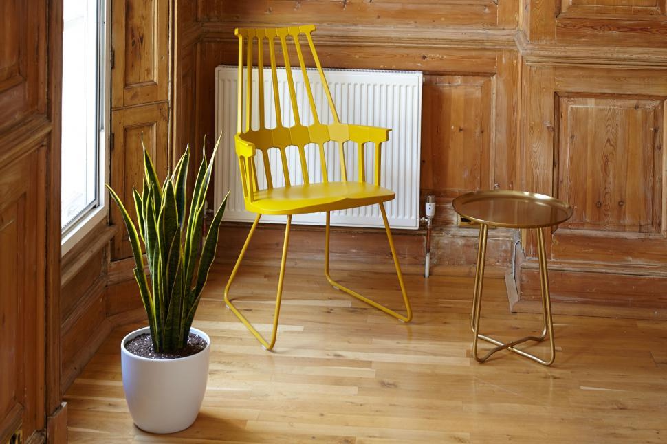 Free Image of Bright yellow chair and plant in a cozy room 