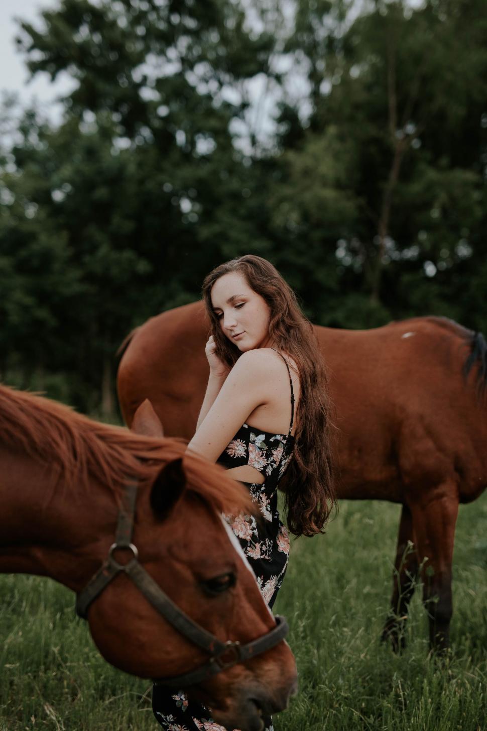 Free Image of Woman with horses in a rural setting 
