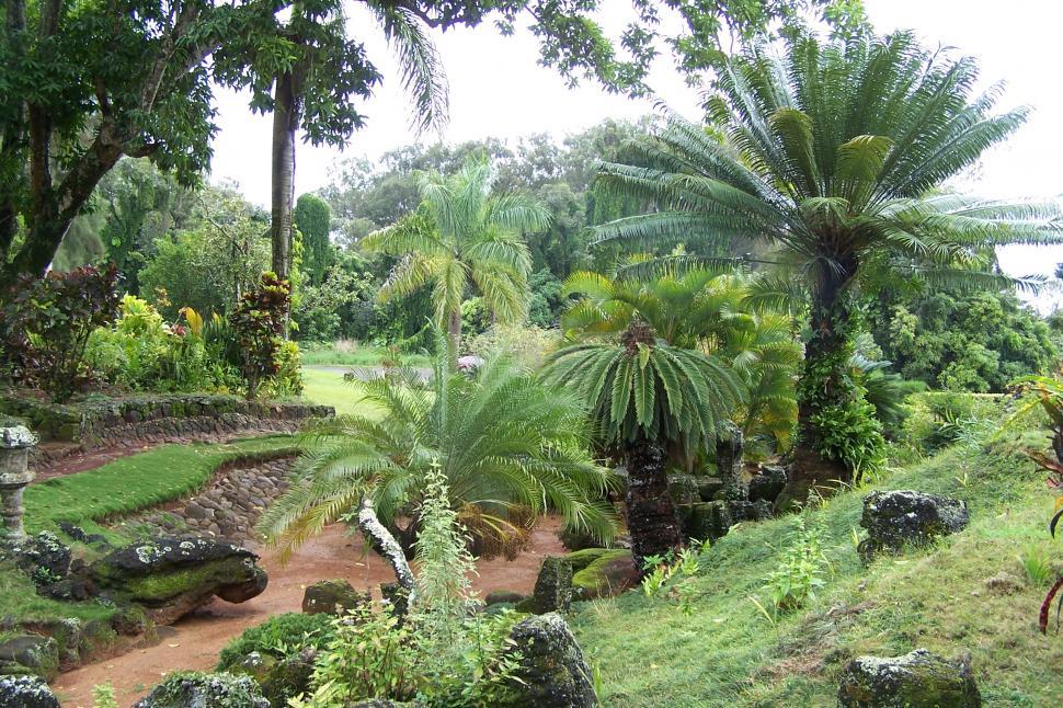 Free Image of Hawaiian Garden 