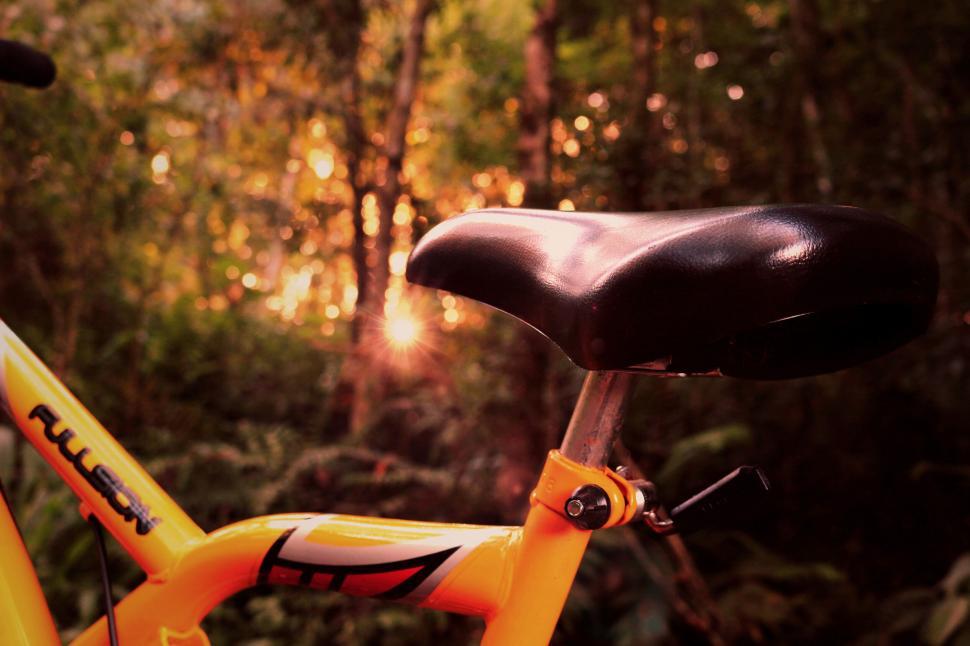 Free Image of Sunlit bicycle seat in a forest setting 