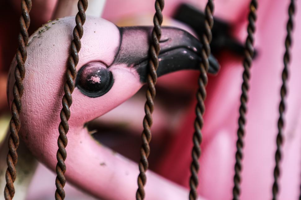 Free Image of Close-up of a pink painted plastic flamingo in a metal cage 
