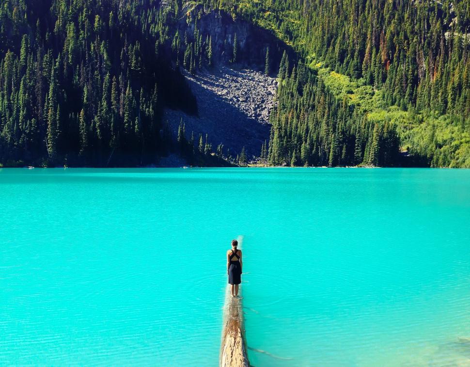 Free Image of Person on log overlooking vibrant lake 