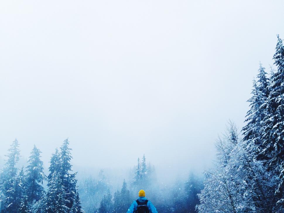 Free Image of Person in a yellow jacket in snowy forest 