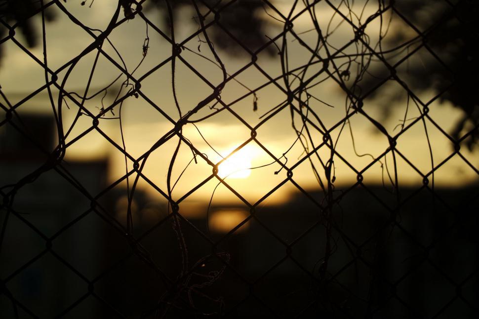Free Image of Sunset view through a chain-link fence 