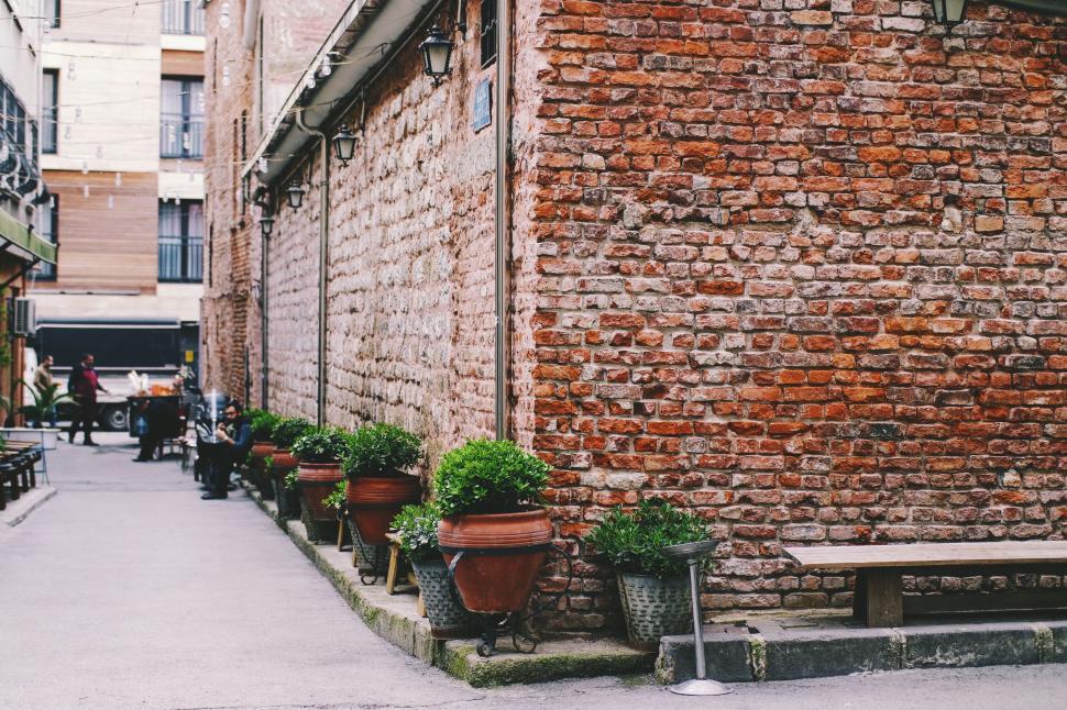 Free Image of Brick wall with potted plants on a city street 