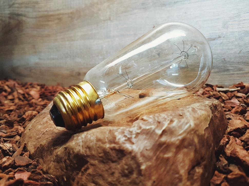 Free Image of Vintage light bulb laying on a wooden surface 
