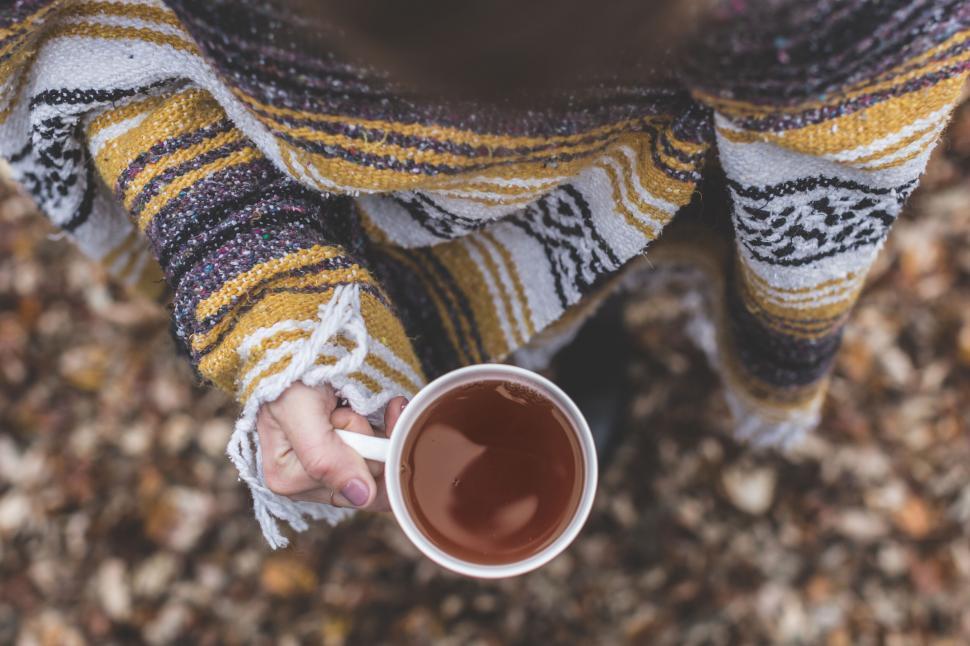 Free Image of Person holding a cup of tea outdoors in autumn 