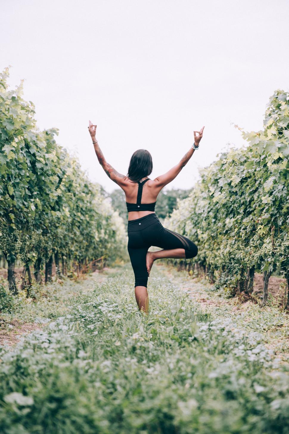 Free Image of Woman practicing yoga in a vineyard 