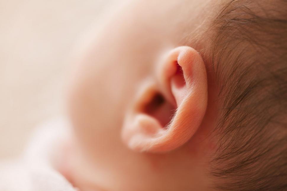 Free Image of Close-up of a newborn baby s ear 