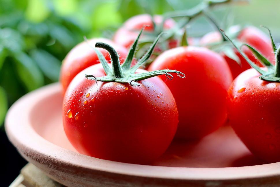 Free Image of Fresh tomatoes on terracotta dish 