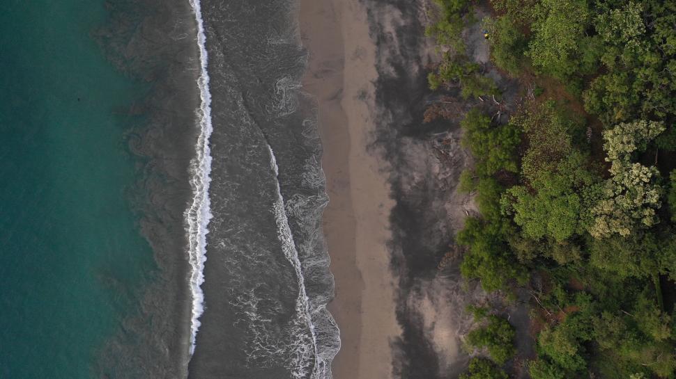Free Image of Aerial view of tropical beach shoreline 