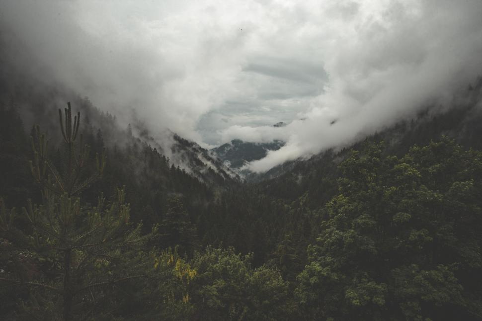 Free Image of Dramatic clouds enveloping a forested mountain 