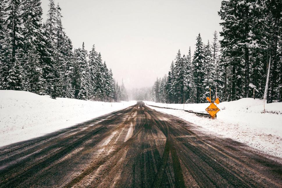 Free Image of Snowy road flanked by pine trees 