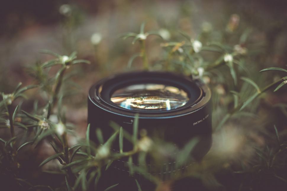 Free Image of Camera Lens Among Foliage and Twigs 