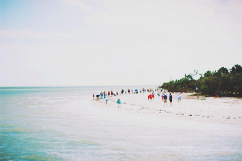 Free Image of Beach scene with people walking by the shore 