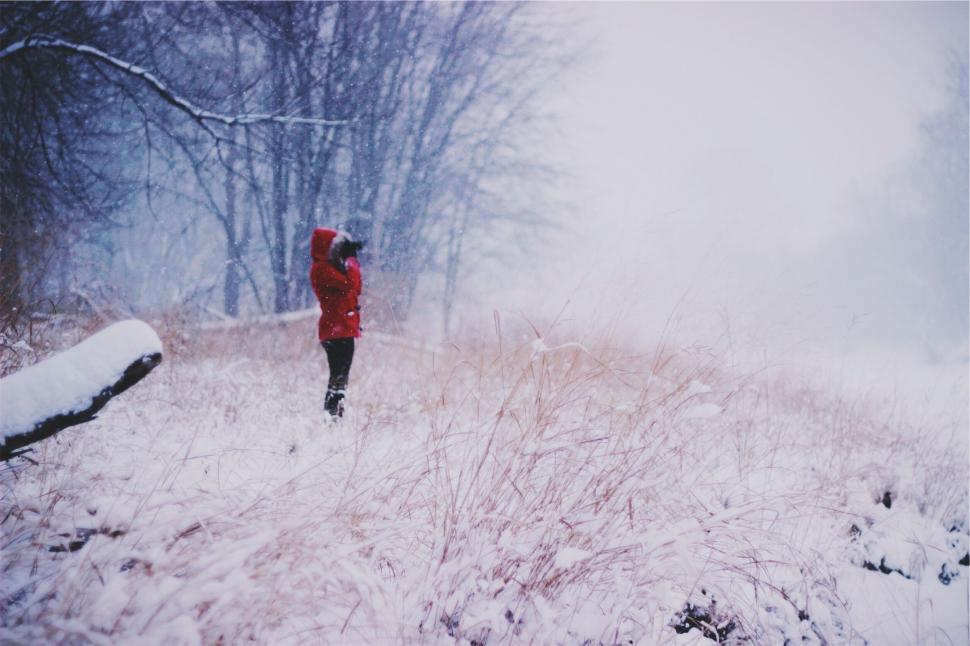 Free Image of Red-coated person in a snowy forest landscape 