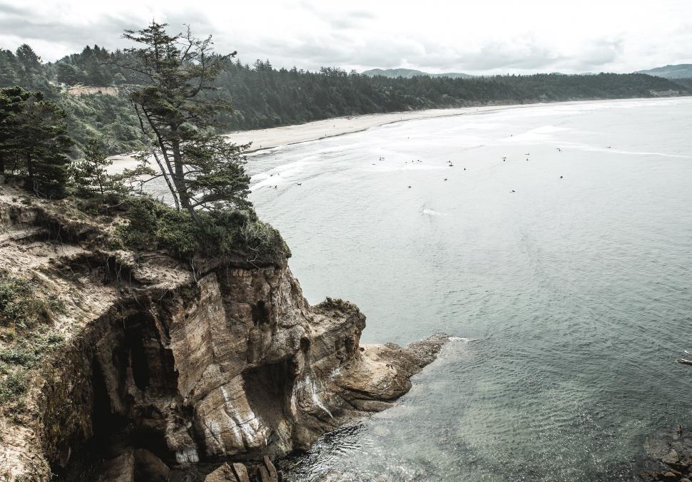 Free Image of Scenic coastal view with cliff and forest 