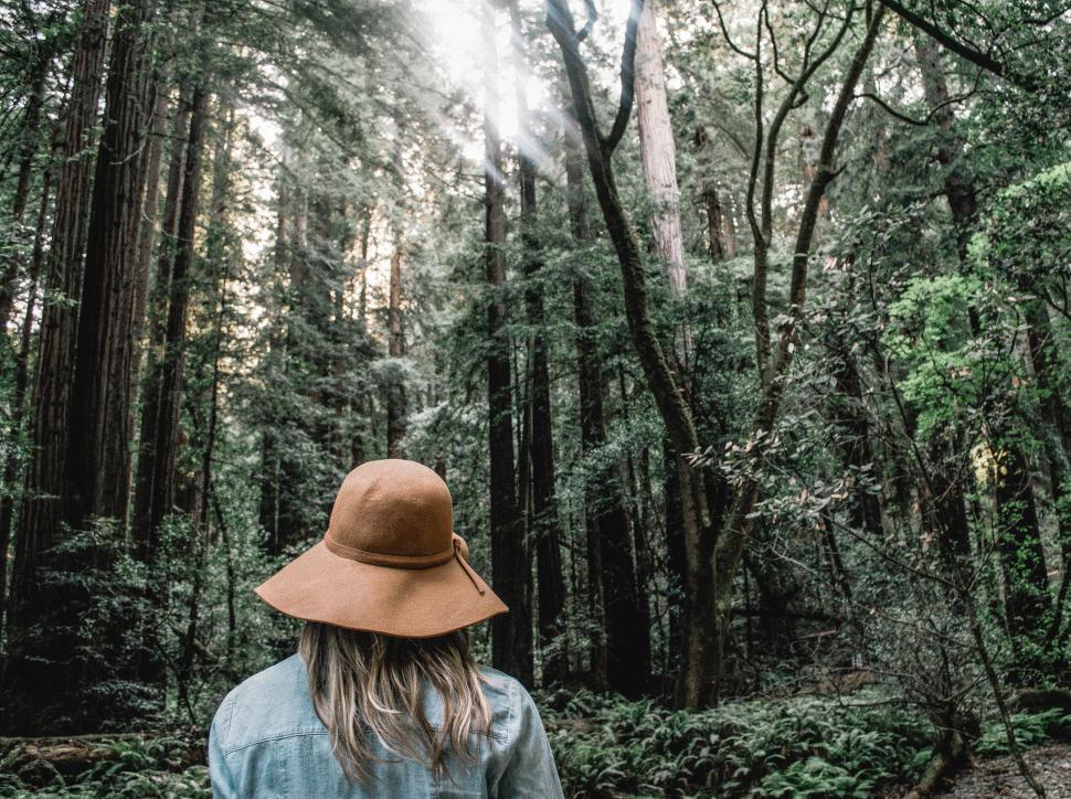 Free Image of Woman in a hat standing in a redwood forest 