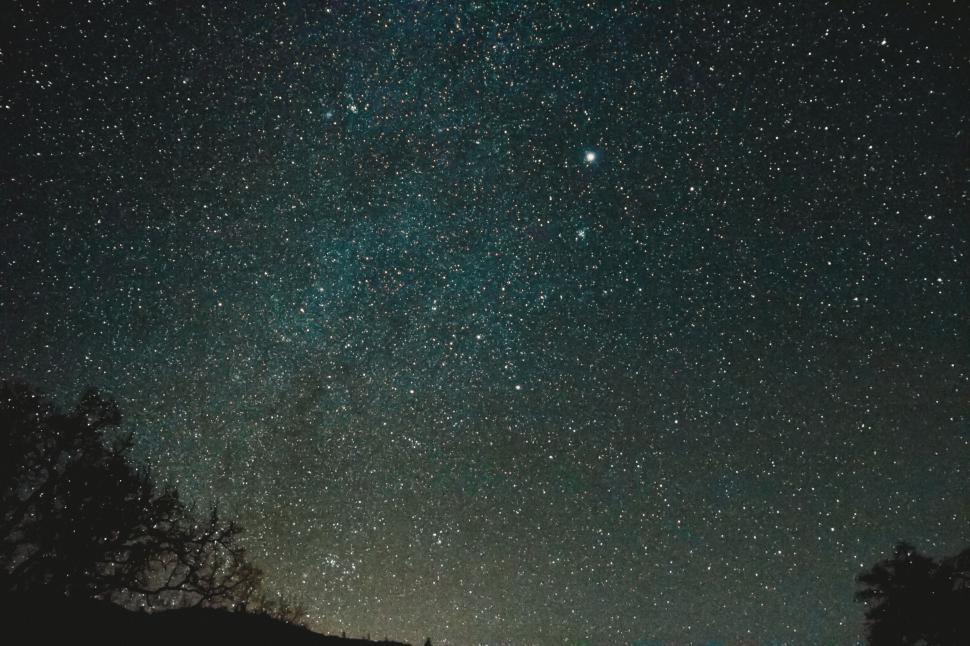 Free Image of Starry night sky over tree silhouette 