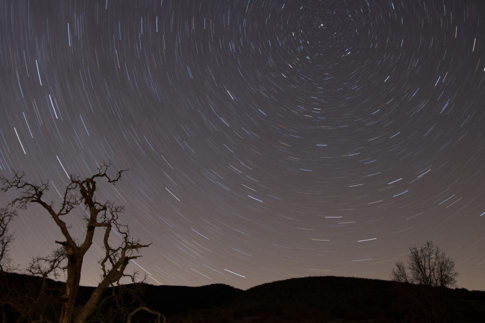 Free Image of Star trails in the night sky above barren trees 