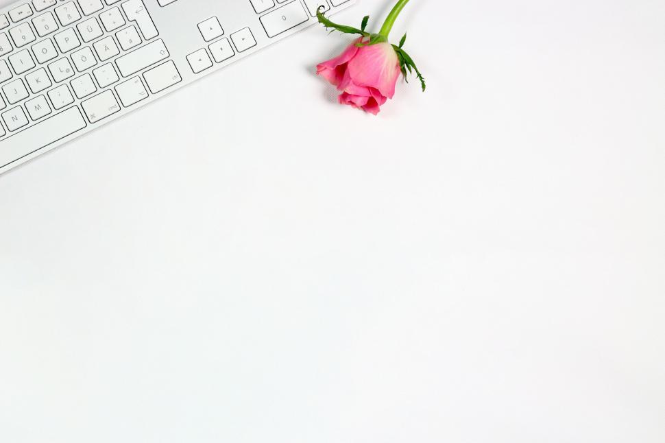 Free Image of Workspace with keyboard and pink flowers 